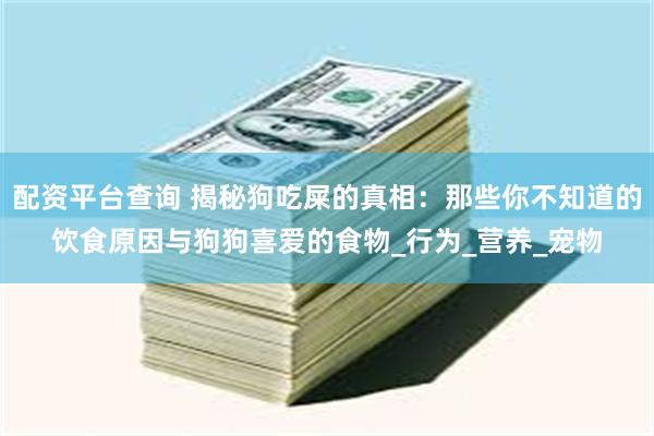 配资平台查询 揭秘狗吃屎的真相：那些你不知道的饮食原因与狗狗喜爱的食物_行为_营养_宠物