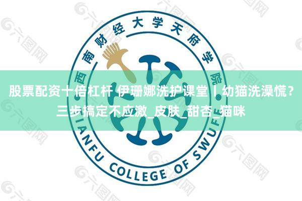股票配资十倍杠杆 伊珊娜洗护课堂丨幼猫洗澡慌？三步搞定不应激_皮肤_甜杏_猫咪
