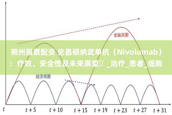 朔州股票配资 伦昌硕纳武单抗（Nivolumab）：疗效、安全性及未来展望​_治疗_患者_细胞