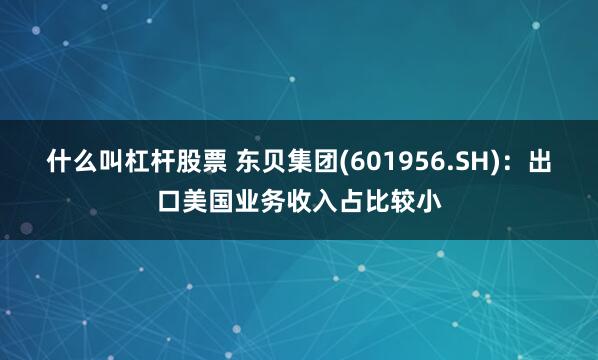 什么叫杠杆股票 东贝集团(601956.SH)：出口美国业务收入占比较小