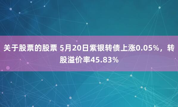 关于股票的股票 5月20日紫银转债上涨0.05%，转股溢价率45.83%