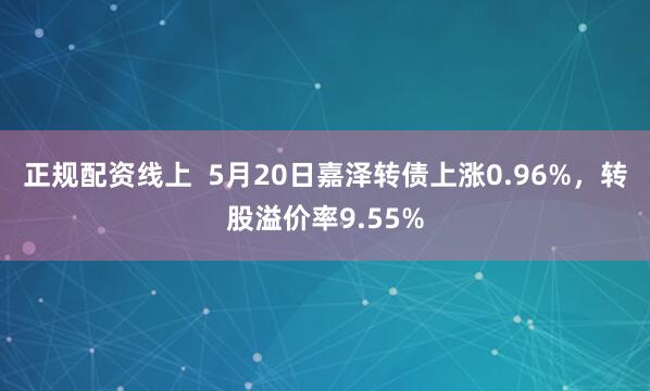 正规配资线上  5月20日嘉泽转债上涨0.96%，转股溢价率9.55%