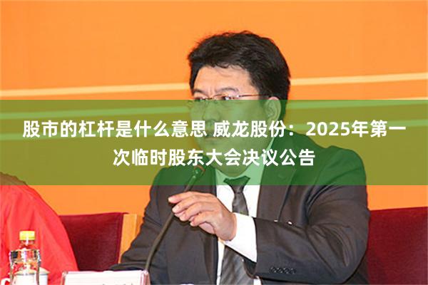 股市的杠杆是什么意思 威龙股份：2025年第一次临时股东大会决议公告