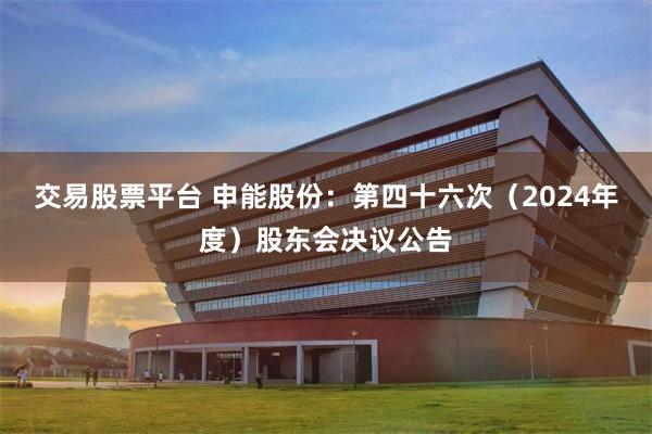 交易股票平台 申能股份：第四十六次（2024年度）股东会决议公告