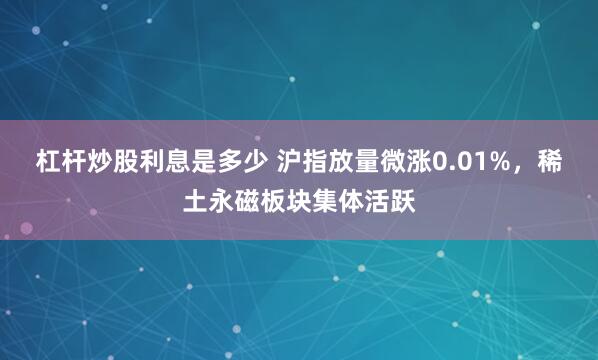 杠杆炒股利息是多少 沪指放量微涨0.01%，稀土永磁板块集体活跃