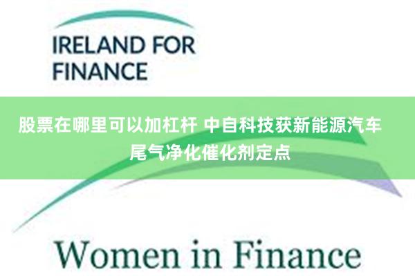 股票在哪里可以加杠杆 中自科技获新能源汽车    尾气净化催化剂定点