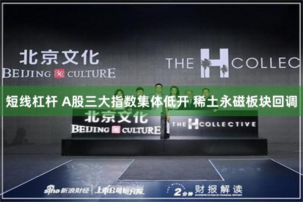 短线杠杆 A股三大指数集体低开 稀土永磁板块回调