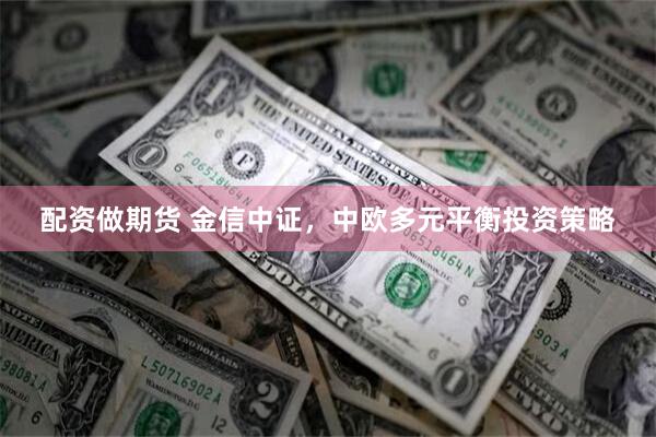配资做期货 金信中证,中欧多元平衡投资策略