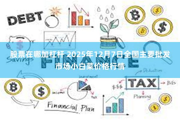 股票在哪加杠杆 2025年12月7日全国主要批发市场小白菜价格行情